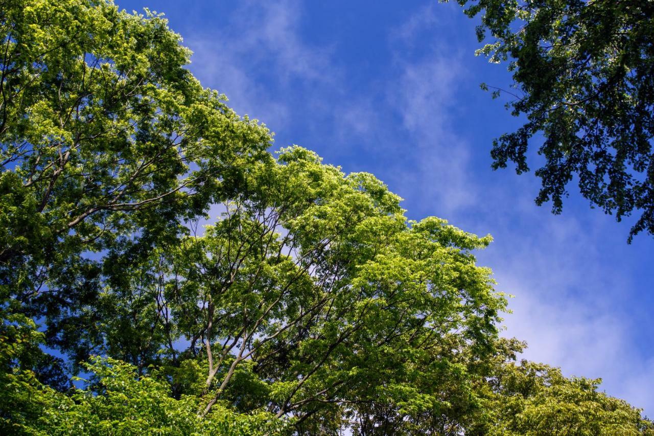Hauska Karuizawa Saku Ngoại thất bức ảnh